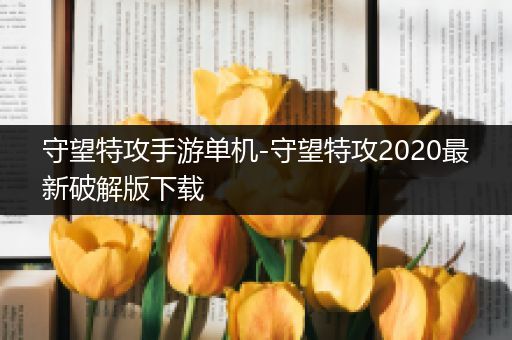 守望特攻手游单机-守望特攻2020最新破解版下载