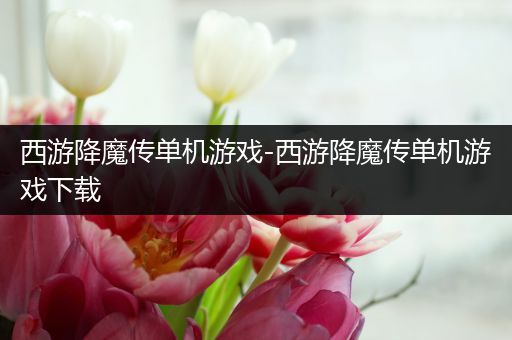 西游降魔传单机游戏-西游降魔传单机游戏下载