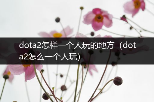 dota2怎样一个人玩的地方（dota2怎么一个人玩）