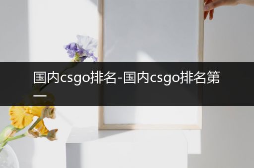 国内csgo排名-国内csgo排名第一