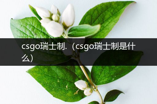 csgo瑞士制.（csgo瑞士制是什么）