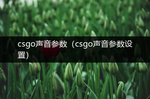 csgo声音参数（csgo声音参数设置）