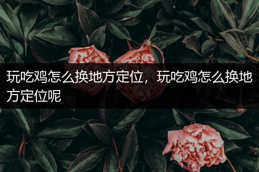 玩吃鸡怎么换地方定位，玩吃鸡怎么换地方定位呢