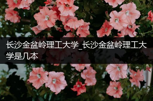 长沙金盆岭理工大学_长沙金盆岭理工大学是几本