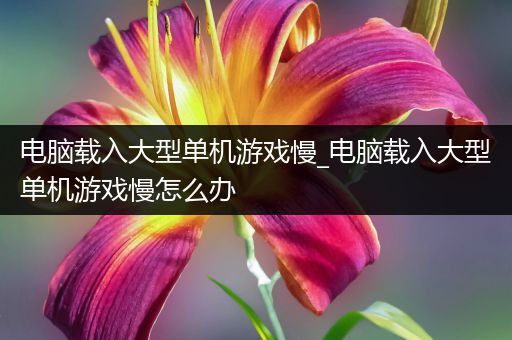 电脑载入大型单机游戏慢_电脑载入大型单机游戏慢怎么办