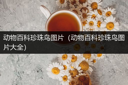 动物百科珍珠鸟图片（动物百科珍珠鸟图片大全）