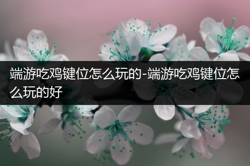 端游吃鸡键位怎么玩的-端游吃鸡键位怎么玩的好