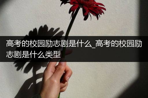 高考的校园励志剧是什么_高考的校园励志剧是什么类型