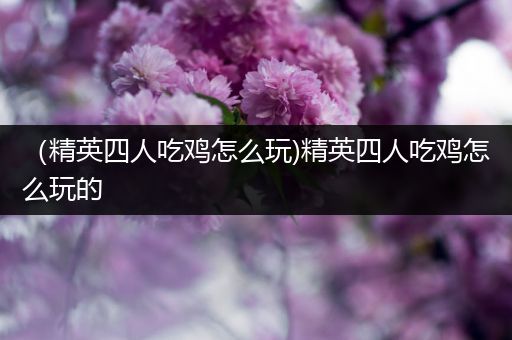 （精英四人吃鸡怎么玩)精英四人吃鸡怎么玩的