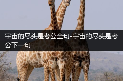 宇宙的尽头是考公全句-宇宙的尽头是考公下一句