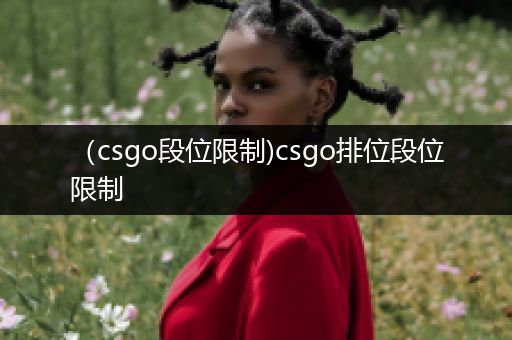 （csgo段位限制)csgo排位段位限制