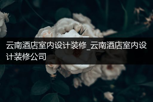 云南酒店室内设计装修_云南酒店室内设计装修公司