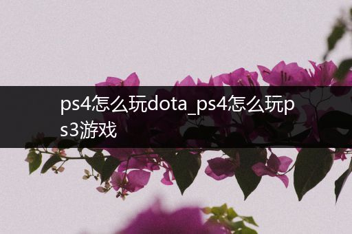 ps4怎么玩dota_ps4怎么玩ps3游戏