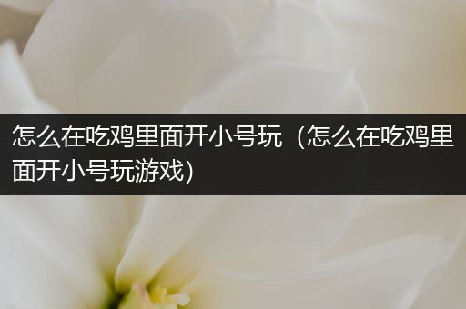 怎么在吃鸡里面开小号玩（怎么在吃鸡里面开小号玩游戏）