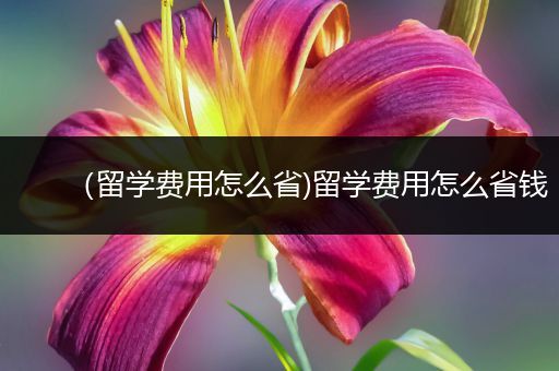 （留学费用怎么省)留学费用怎么省钱