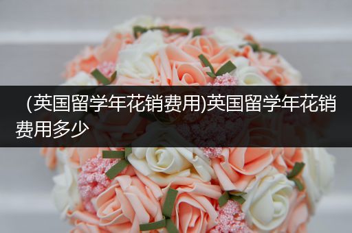 （英国留学年花销费用)英国留学年花销费用多少