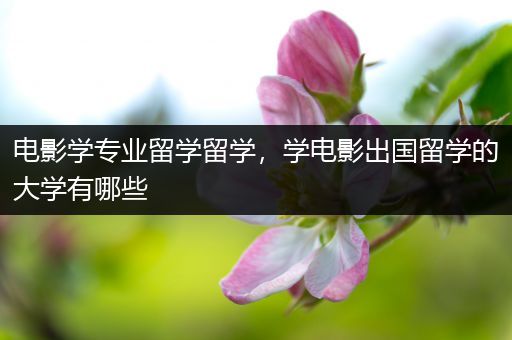 电影学专业留学留学，学电影出国留学的大学有哪些