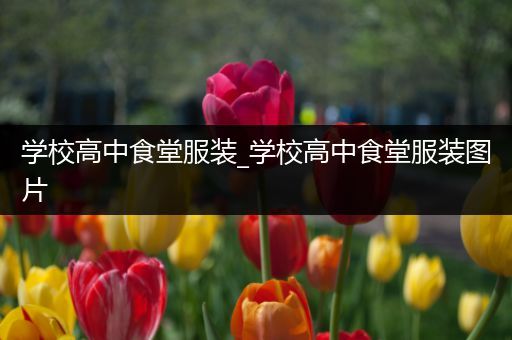学校高中食堂服装_学校高中食堂服装图片