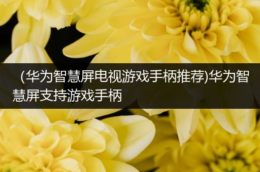 （华为智慧屏电视游戏手柄推荐)华为智慧屏支持游戏手柄
