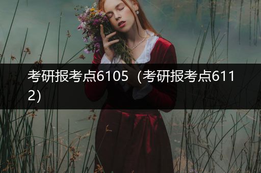 考研报考点6105（考研报考点6112）