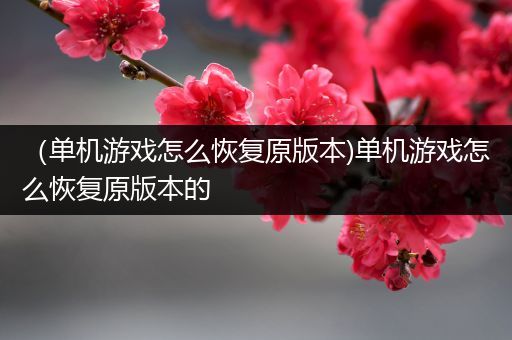 （单机游戏怎么恢复原版本)单机游戏怎么恢复原版本的