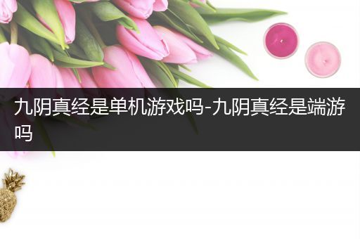 九阴真经是单机游戏吗-九阴真经是端游吗