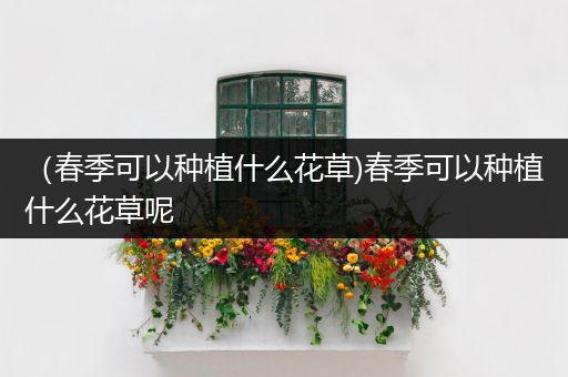 （春季可以种植什么花草)春季可以种植什么花草呢