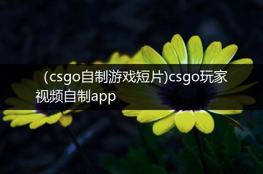 （csgo自制游戏短片)csgo玩家视频自制app