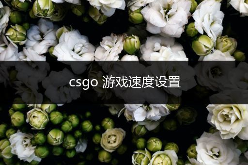 csgo 游戏速度设置