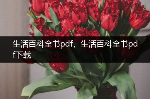 生活百科全书pdf，生活百科全书pdf下载