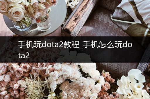 手机玩dota2教程_手机怎么玩dota2