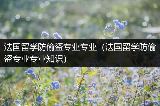 法国留学防偷盗专业专业（法国留学防偷盗专业专业知识）